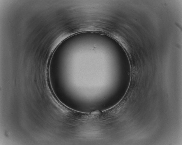 X0000097601187200802291236