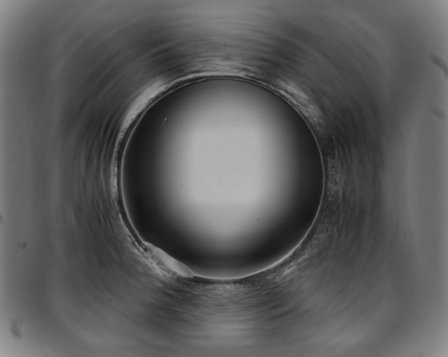 X0000097601188200802291236