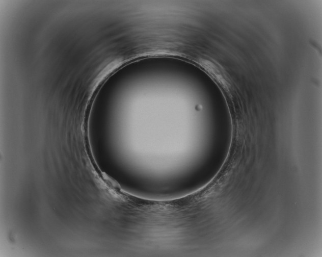 X0000097601189200802291236