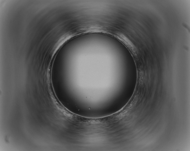 X0000097601190200802291236