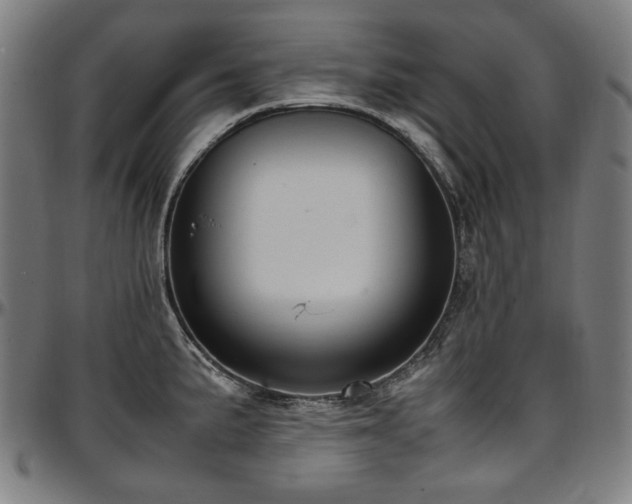 X0000097601191200802291236