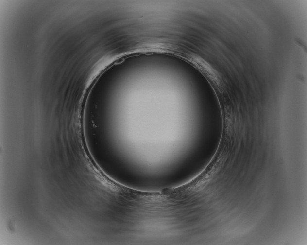 X0000097601192200802291236