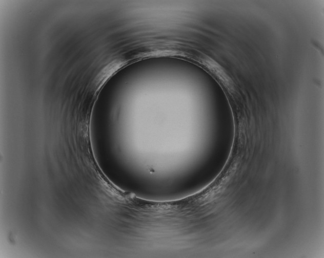 X0000097601193200802291236