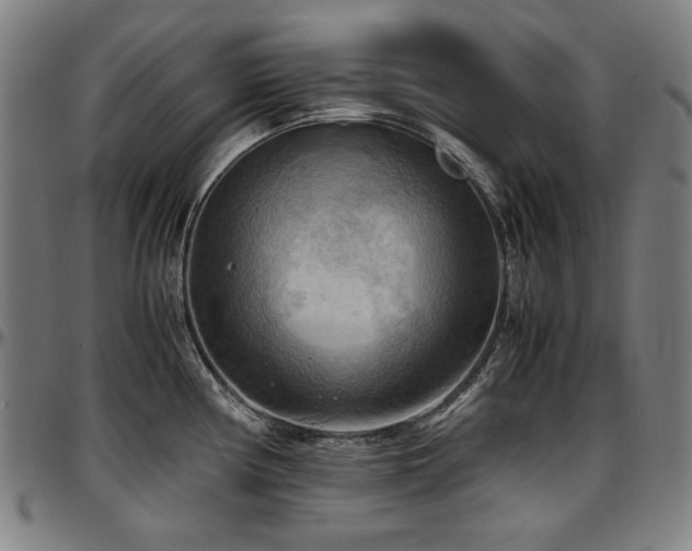 X0000097601194200802291236