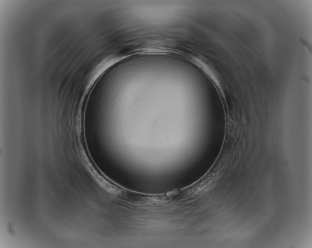 X0000097601195200802291236