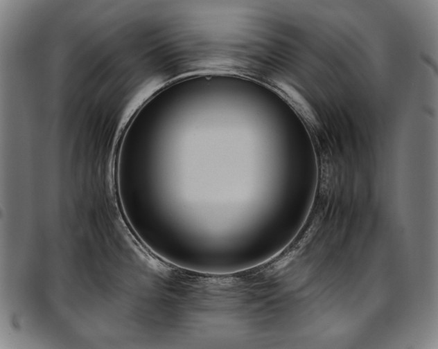X0000097601196200802291236