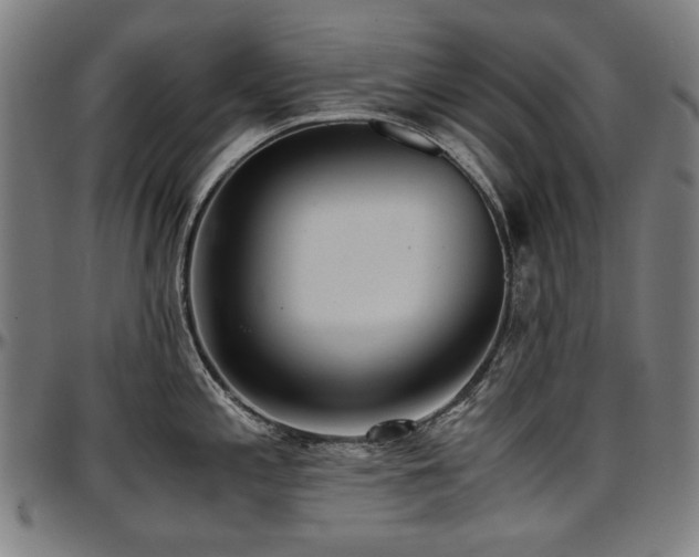 X0000097601197200802291236