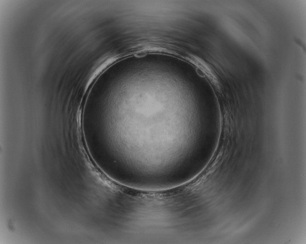 X0000097601198200802291236