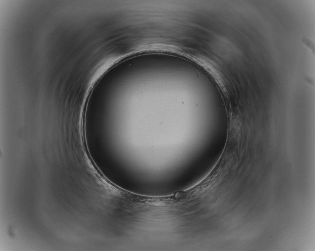 X0000097601199200802291236