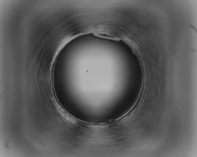X0000097601200200802291236