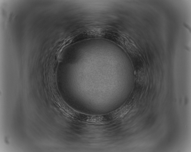 X0000097601201200802291235
