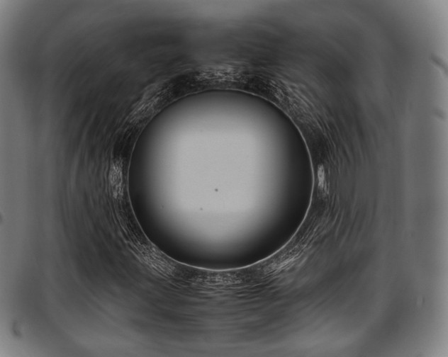 X0000097601203200802291235