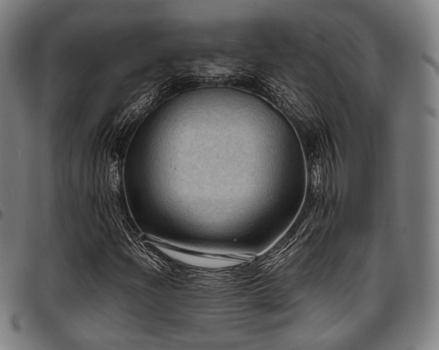 X0000097601204200802291235