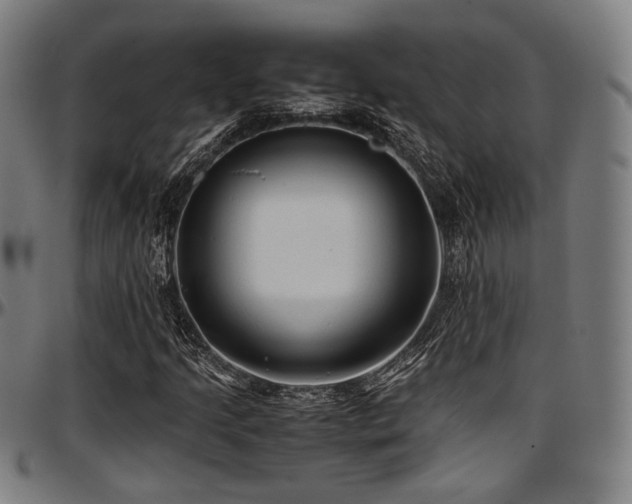 X0000097601205200802291235
