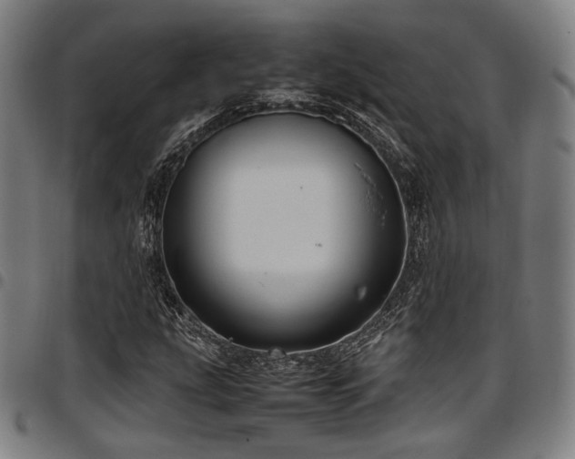 X0000097601207200802291235