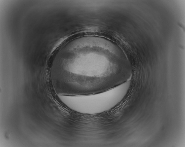 X0000097601208200802291235