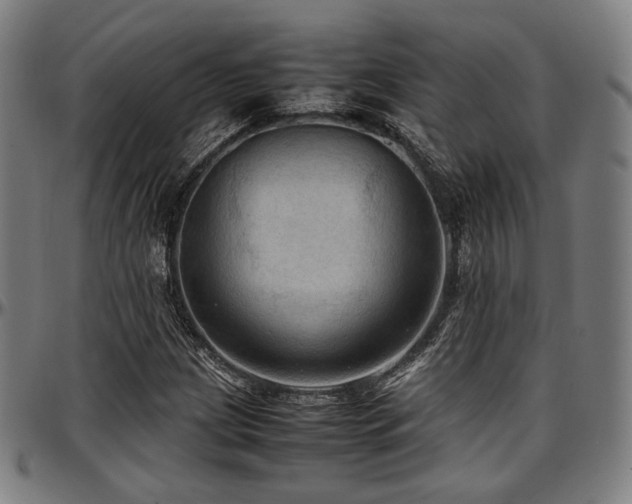 X0000097601209200802291235