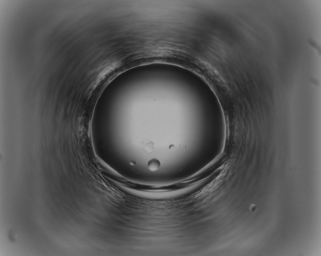 X0000097601210200802291235