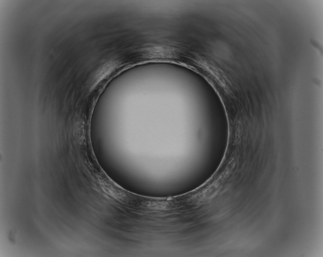 X0000097601211200802291235
