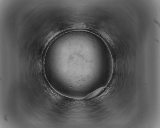 X0000097601212200802291235