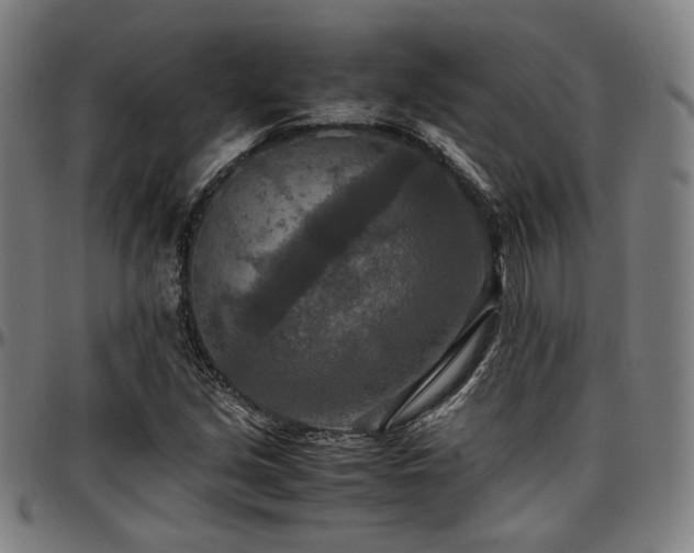 X0000097601213200802291235