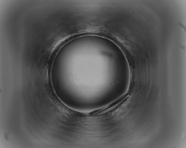 X0000097601214200802291235