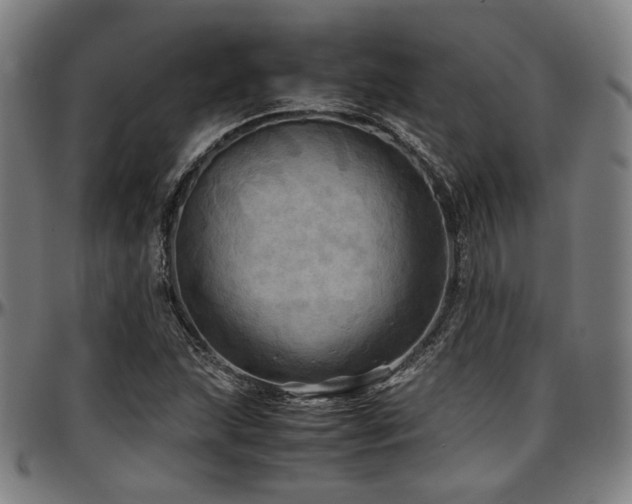 X0000097601215200802291235