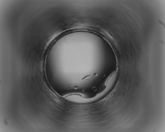 X0000097601216200802291235