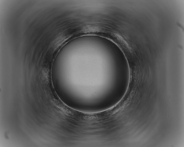 X0000097601217200802291235