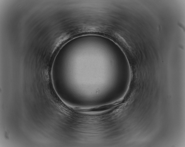 X0000097601218200802291235