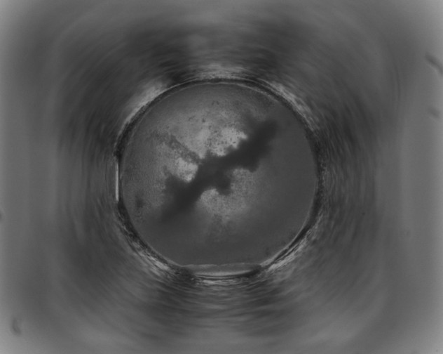X0000097601219200802291235