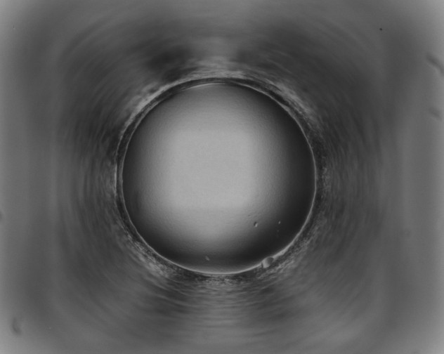 X0000097601220200802291235