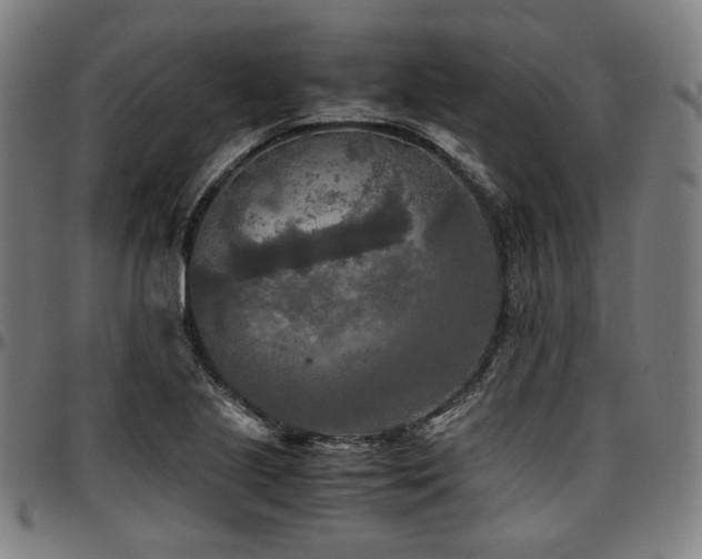 X0000097601221200802291235