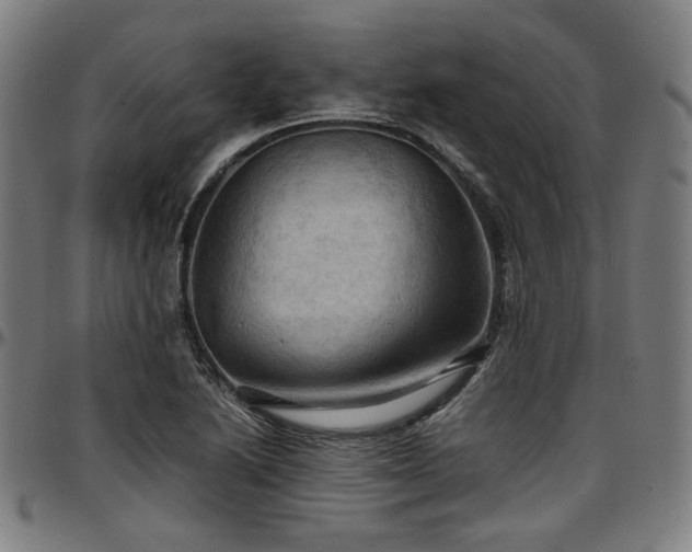 X0000097601222200802291235