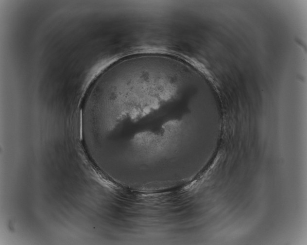 X0000097601223200802291235