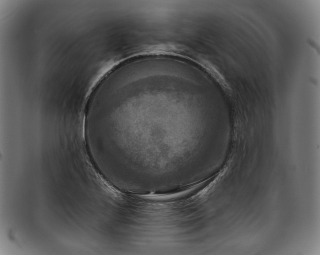 X0000097601224200802291235