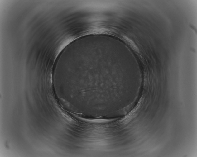 X0000097601226200802291235