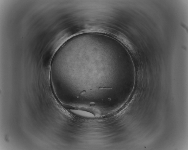 X0000097601228200802291235