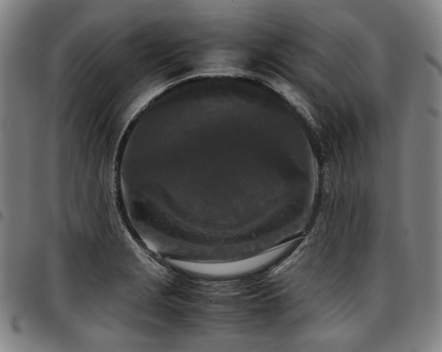 X0000097601229200802291235