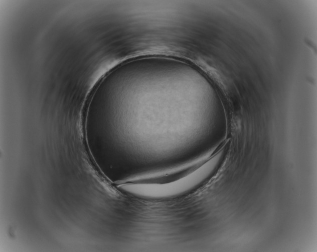 X0000097601230200802291235