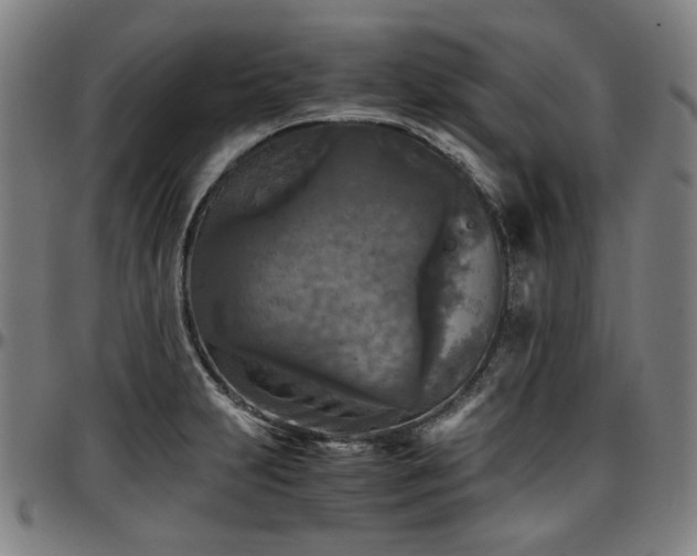 X0000097601231200802291235