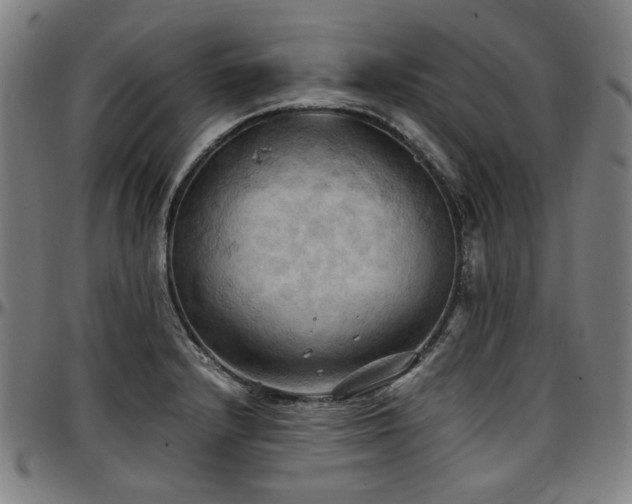 X0000097601232200802291235