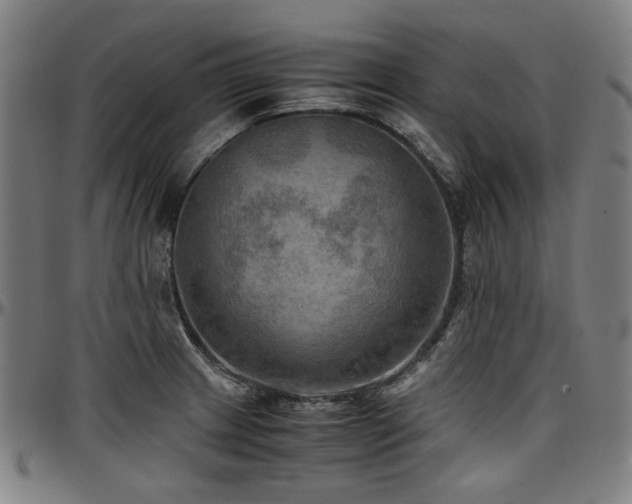 X0000097601233200802291235