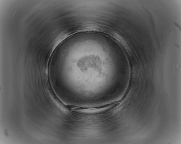 X0000097601234200802291235