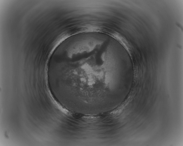 X0000097601235200802291235