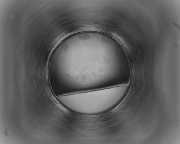 X0000097601236200802291235