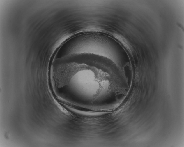 X0000097601237200802291235