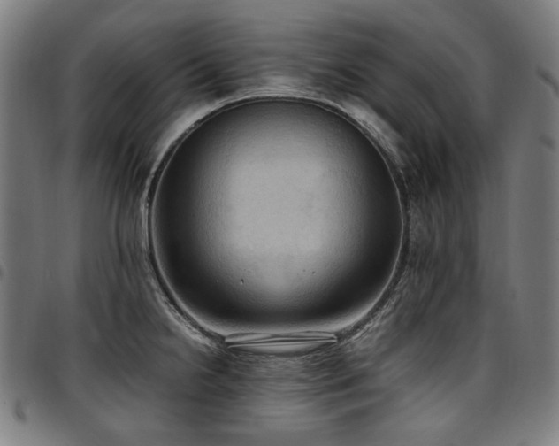 X0000097601238200802291235