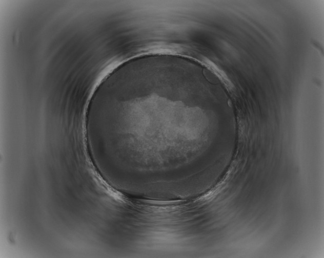 X0000097601240200802291235
