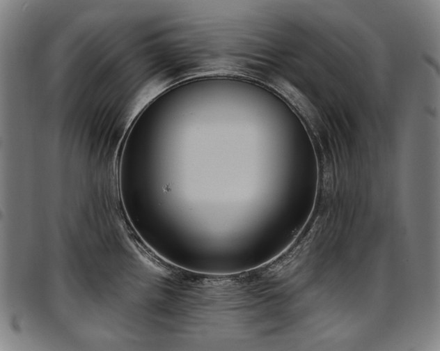 X0000097601242200802291235